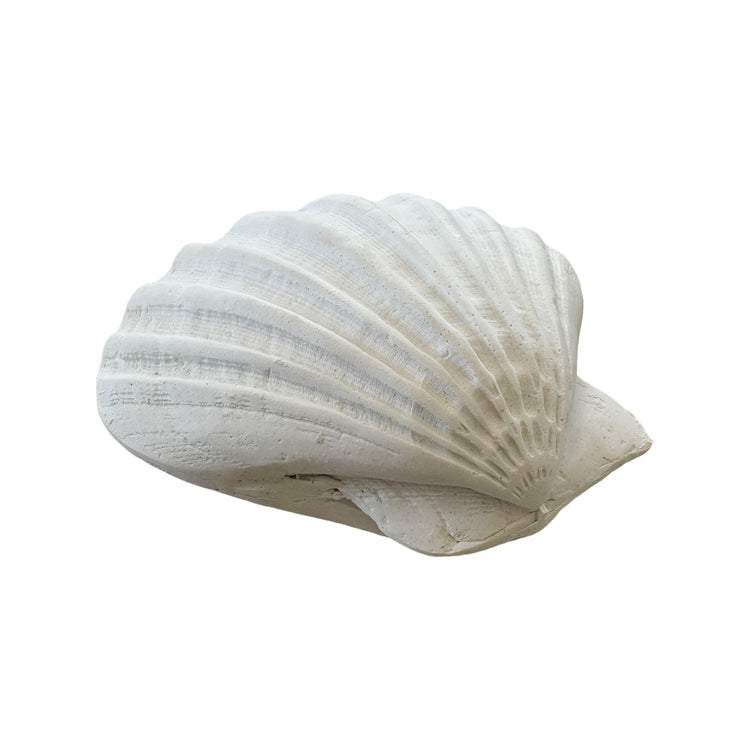 Sea Fan Resin Shell