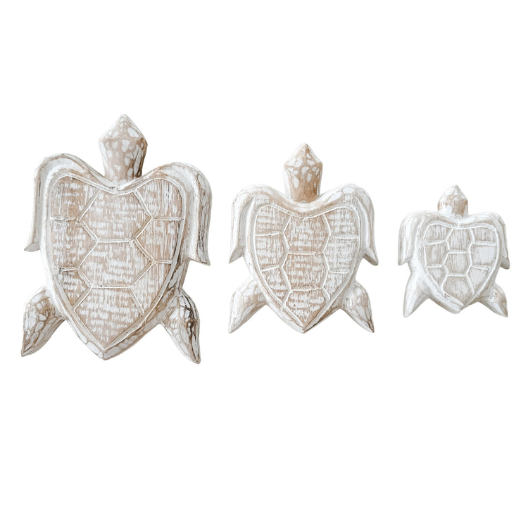 Turtle Bundle | Natural