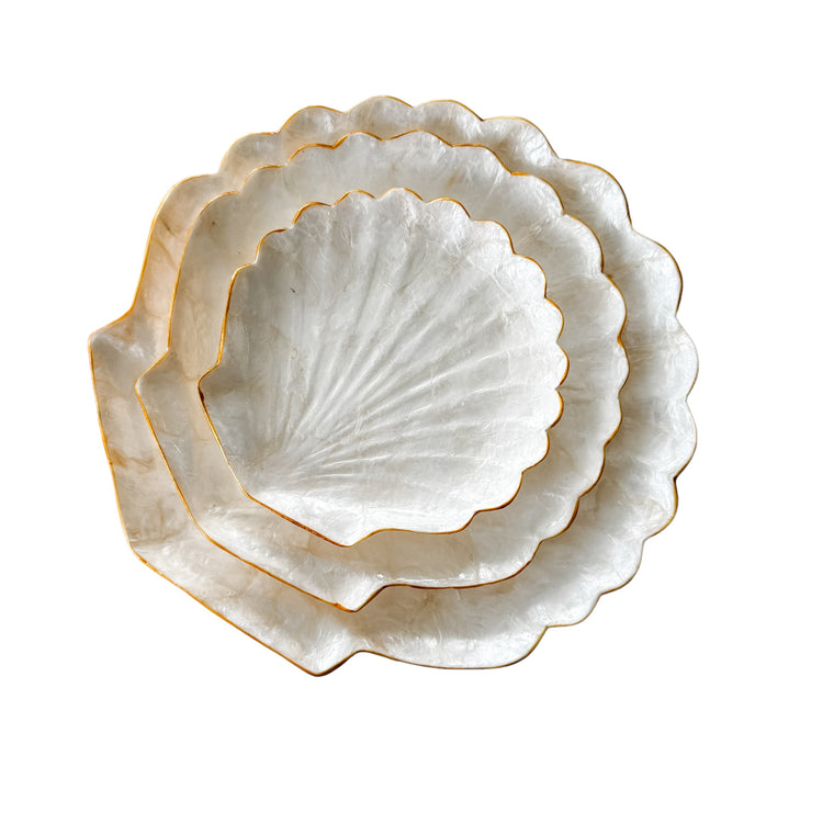 Clam Trinket Plate | 3 Sizes Available