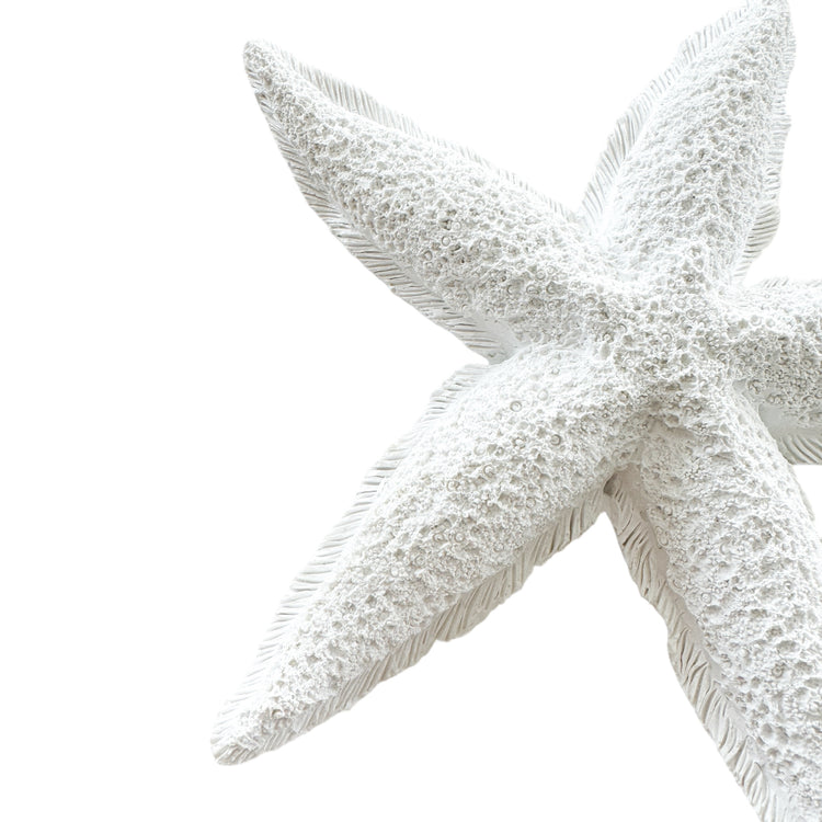 Starfish | Resin | 20cm