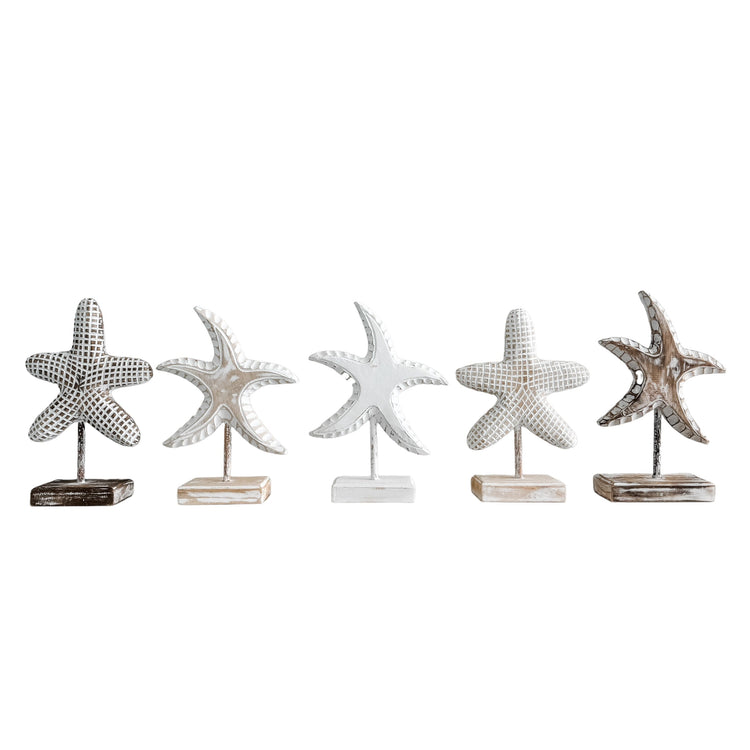 Starfish on Stand| Round | Brown
