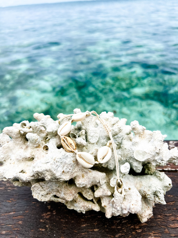 Arielle Cowrie Bracelet | Willow & the Waves Collection