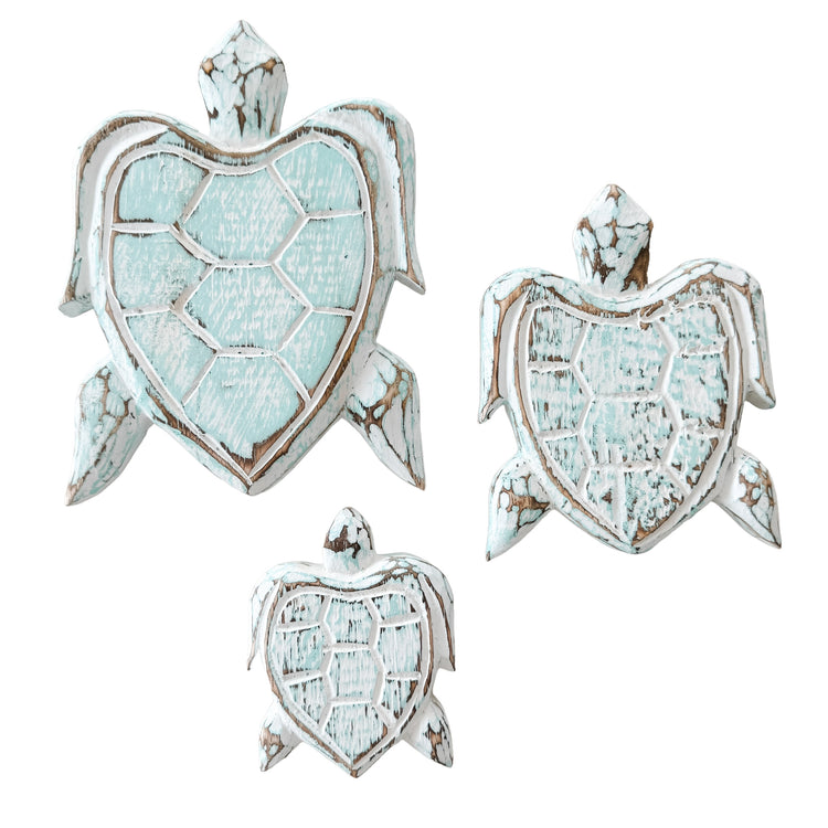 Turtle Bundle | Aqua