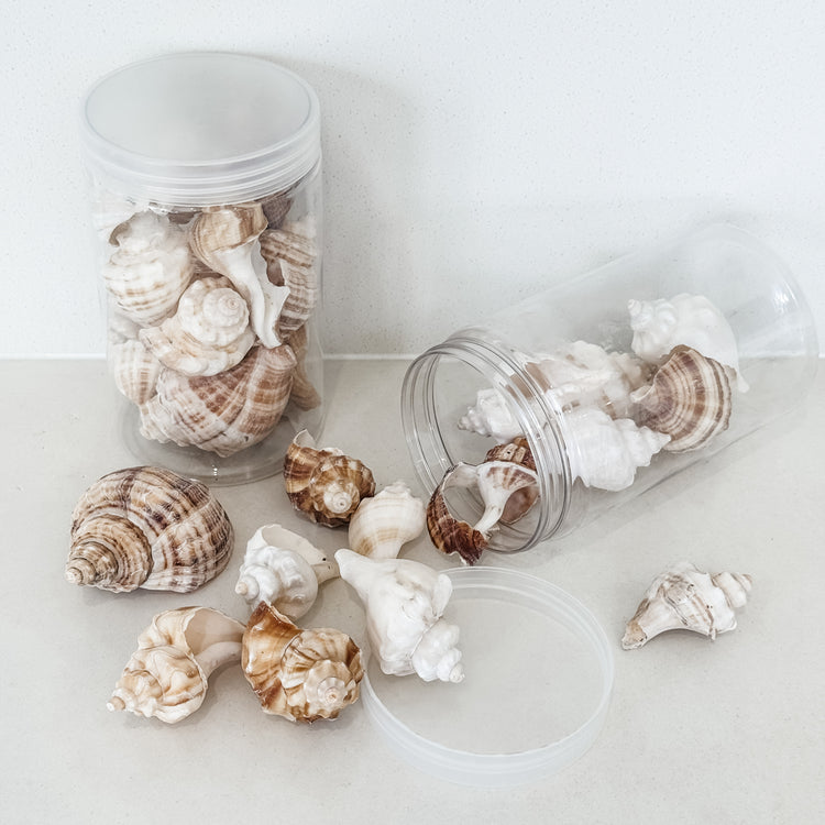 Coastal Shell Jar – 350g Assorted Natural Seashells for Styling & Decor