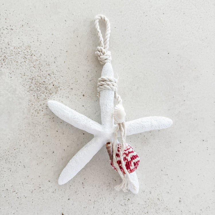 Dina Resin Starfish Hanging