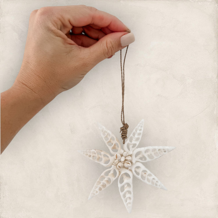 White Star Shell Hanging