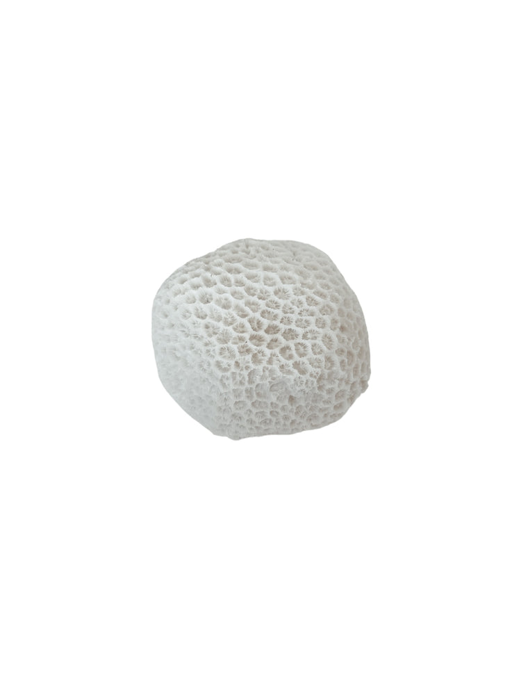 Urchin Mini Outdoor Light C Preorder