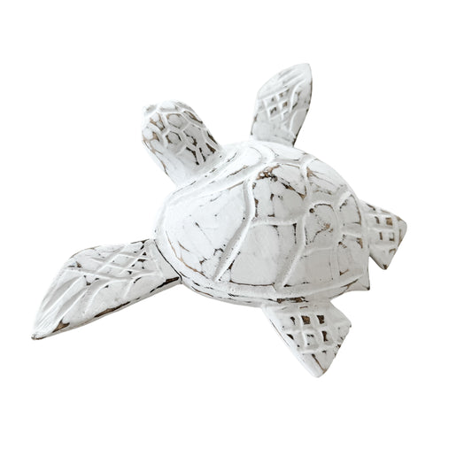 Turtle | 23cm | White