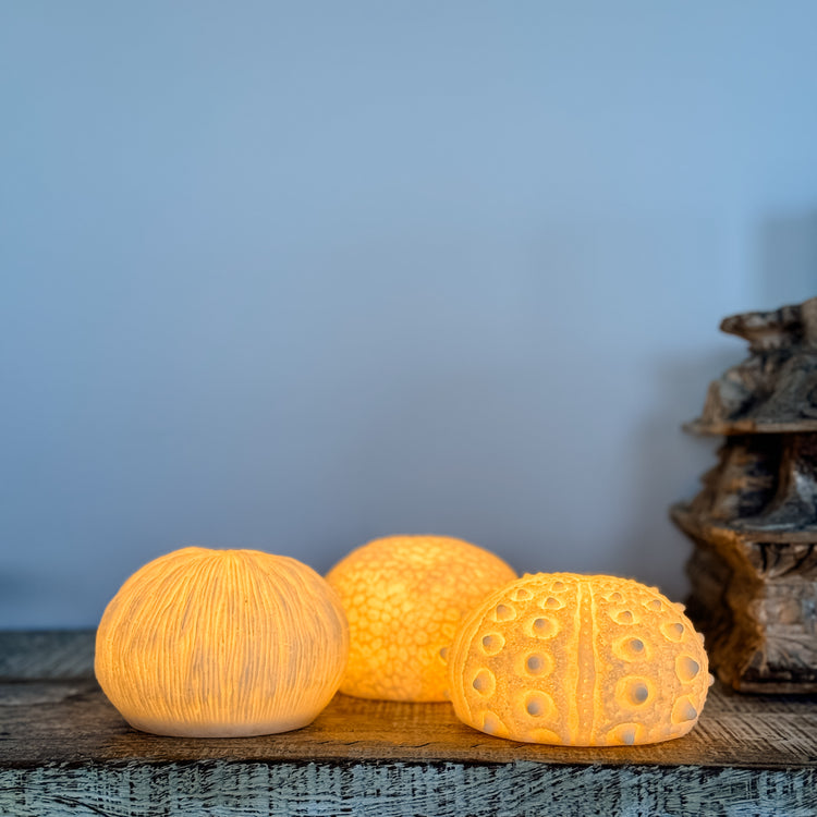 Urchin Mini Outdoor Light A