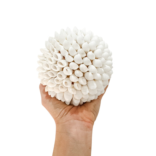 Shell Ball | White Shells | 3 sizes