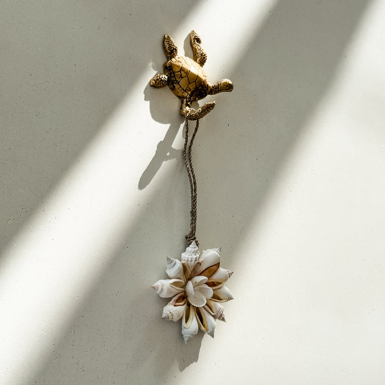 Turtle Wall Hook