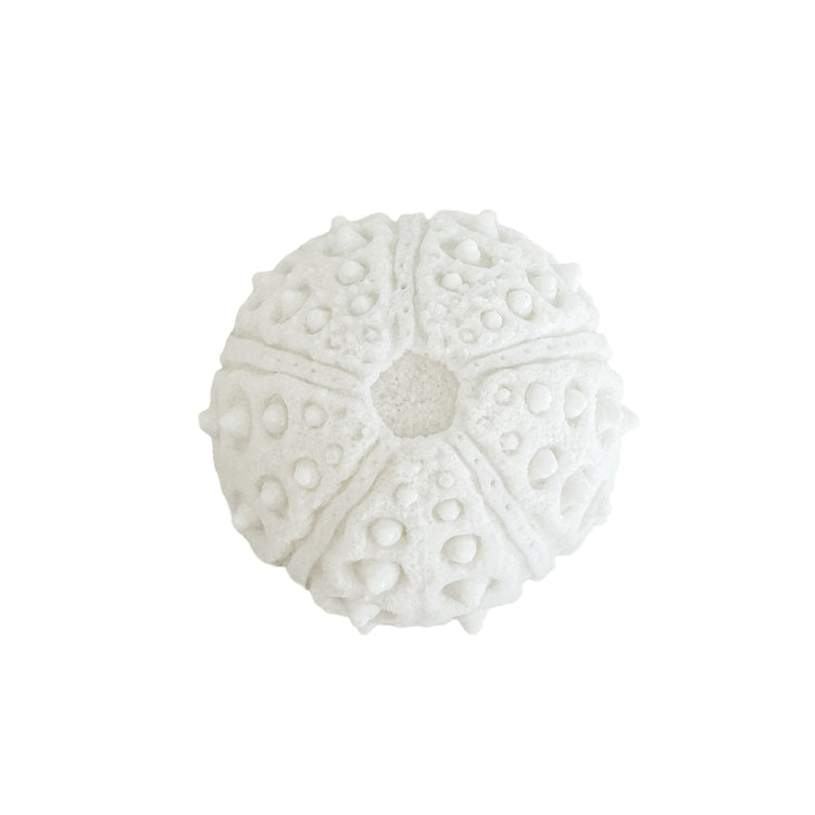 Urchin Mini Outdoor Light B Preorder