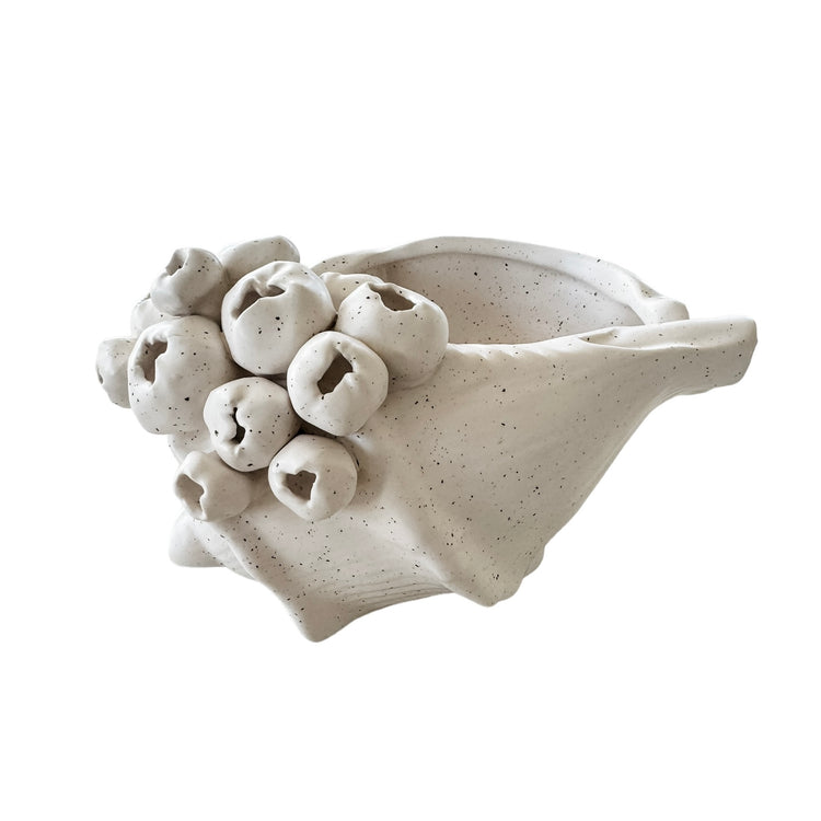 Barwon Ceramic Shell Scultpure | Small Preorder