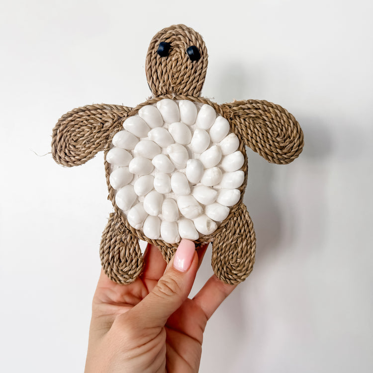 White Shell Turtle