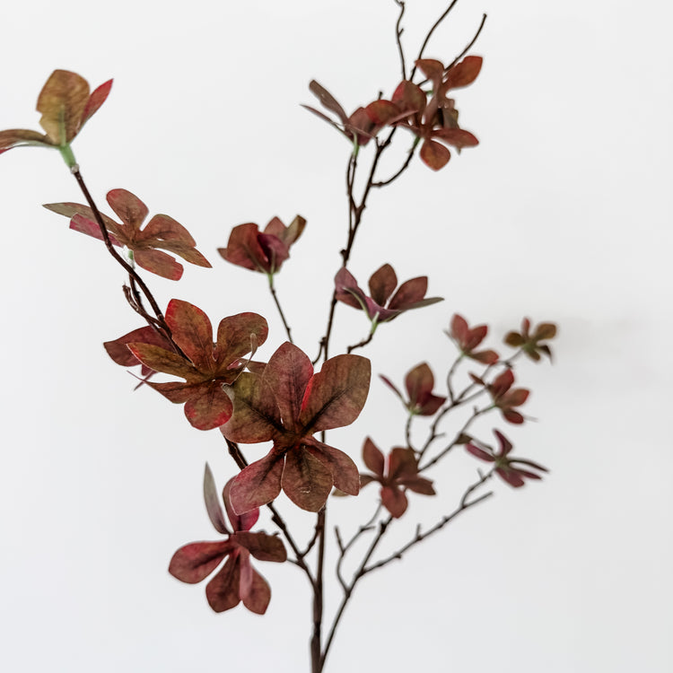 Autumn Eucalyptus Spray