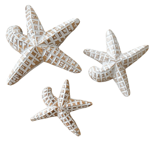 Starfish Bundle | Curved | Natural