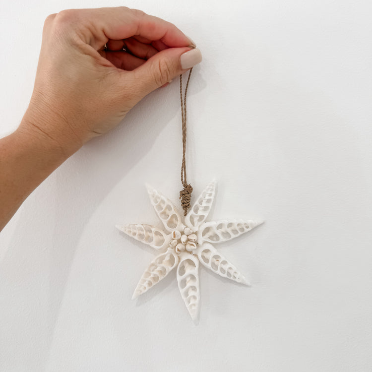 White Star Shell Hanging