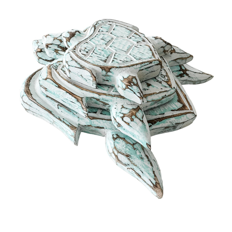 Turtle Bundle | Aqua