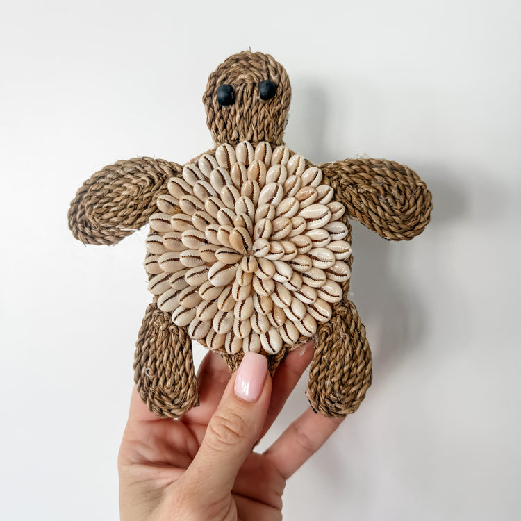 Cowrie Shell Turtle