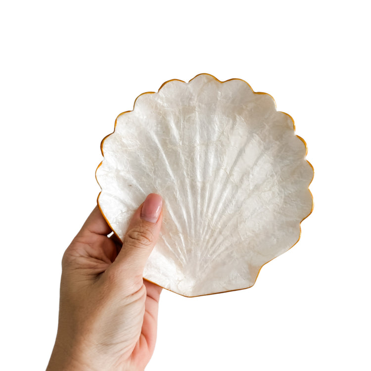 Clam Trinket Plate | 3 Sizes Available