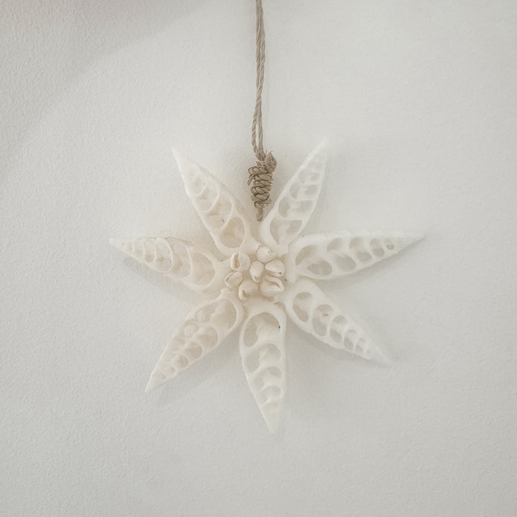 White Star Shell Hanging