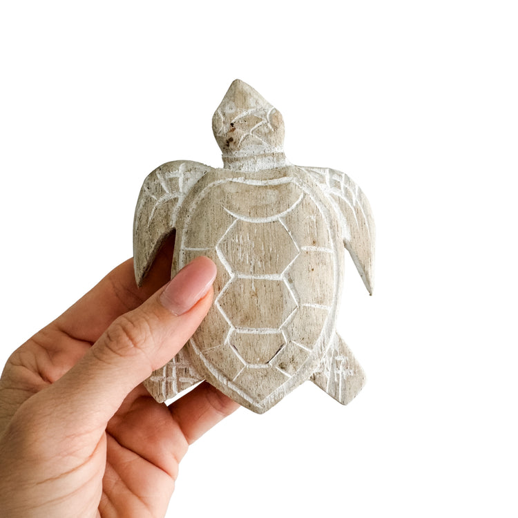 Baby Turtle | 12cm | Assorted Colours