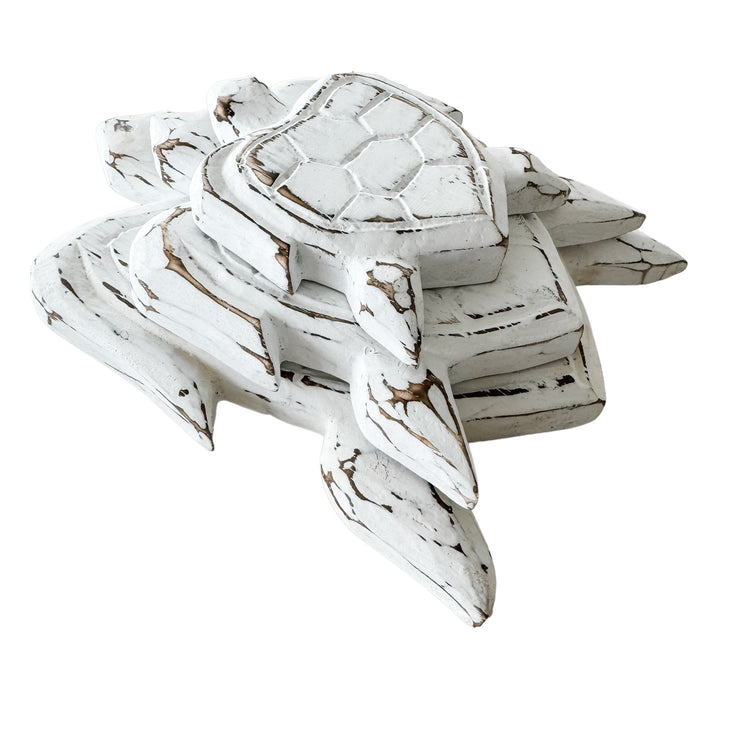Turtle Bundle | White
