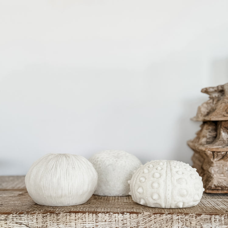 Urchin Mini Outdoor Light C Preorder