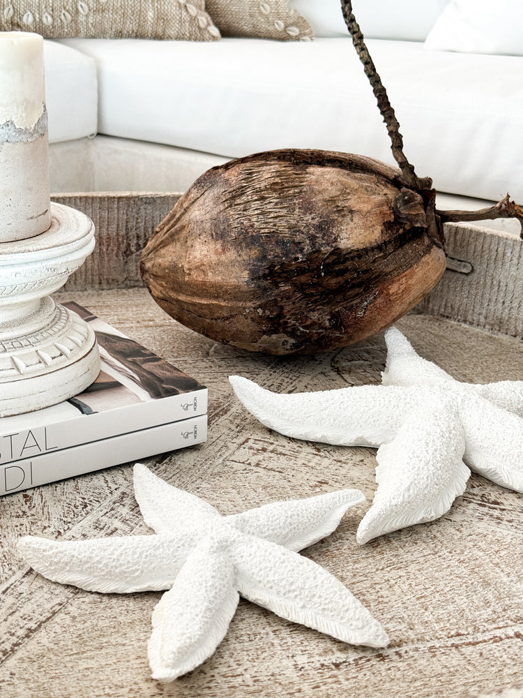 Coconuts | Whole | Sunbleached