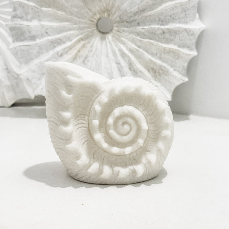 Resin Nautilus Shell Lamp