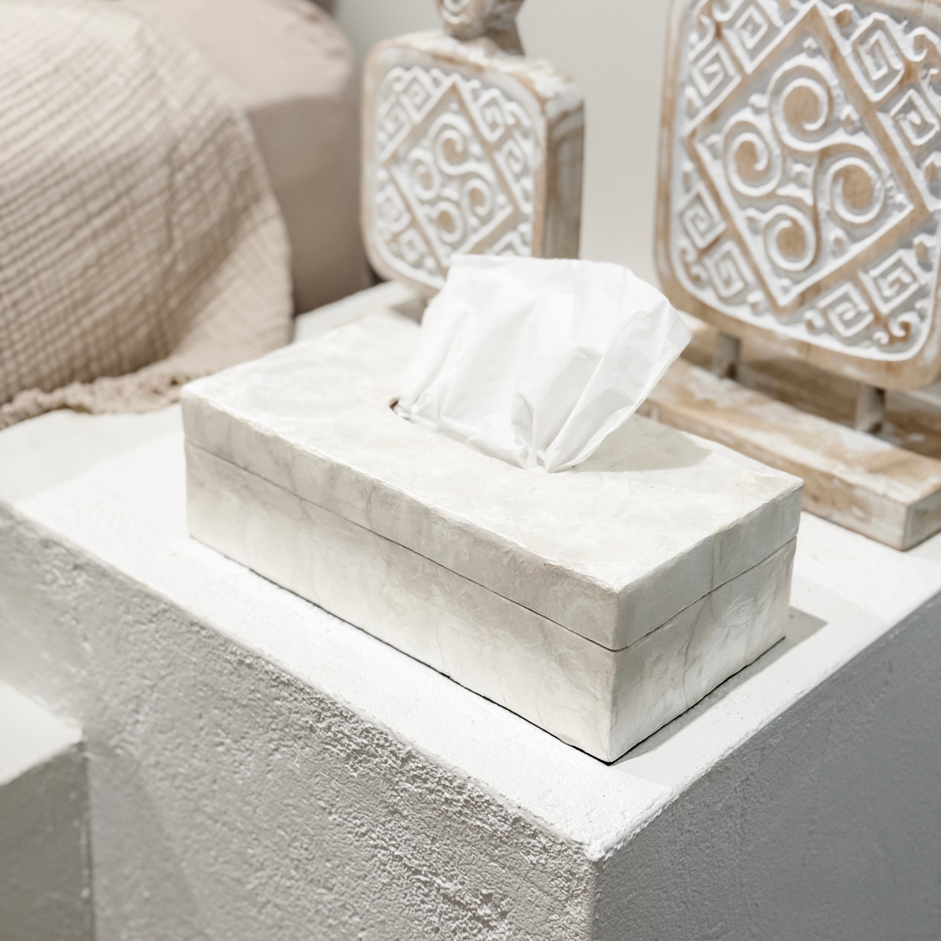 the bonez CAPI CORE VAN Tissue Box 数量限定品 the bonez CAPI CORE VAN Tissue Box 数量限定品