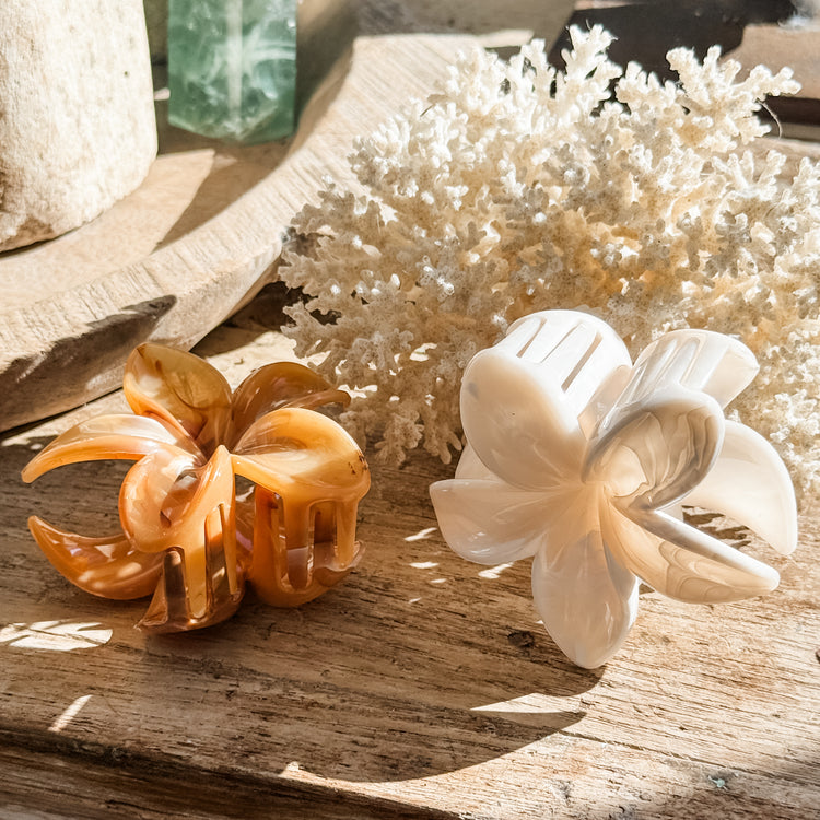 Frangipani Hair Claw Set of 2 | Willow & the Waves Collection