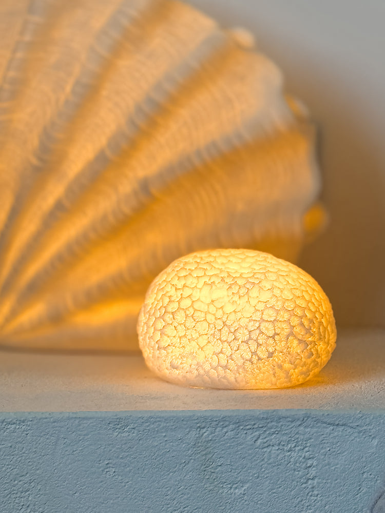 Urchin Mini Outdoor Light C Preorder