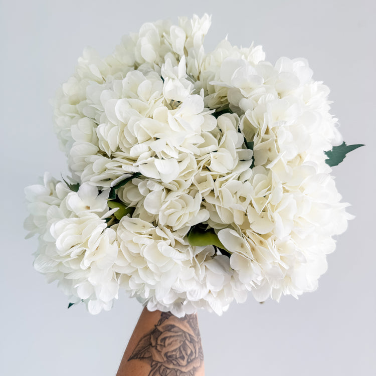 French Cream Hydrangea Stem – 47cm