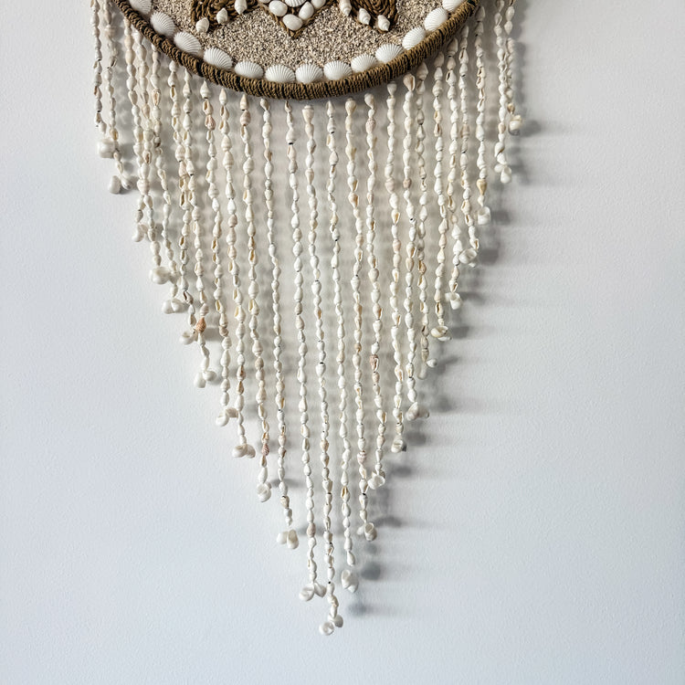 Sea Turtle Shell Wall Hanging