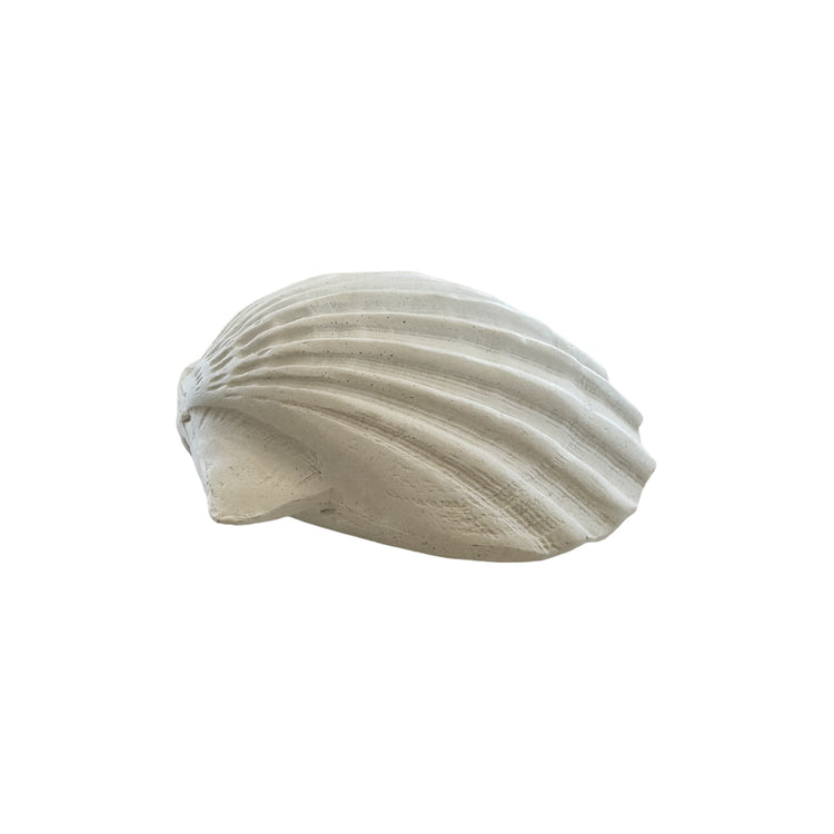 Sea Fan Resin Shell