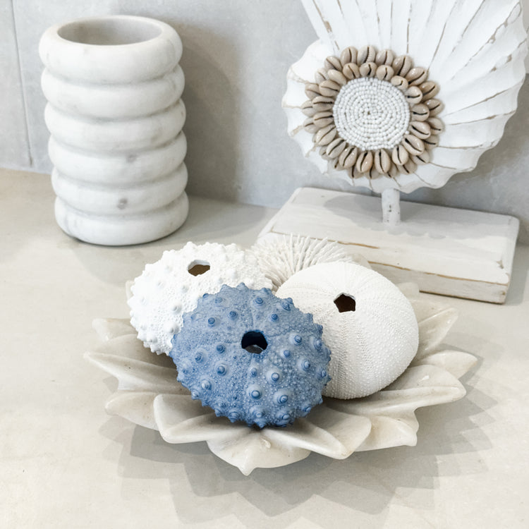 Blue Spiky Urchin Coral Resin