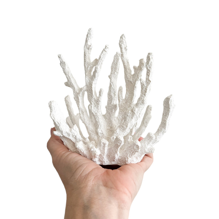 Finger Coral Resin Sculpture | 16x9cm