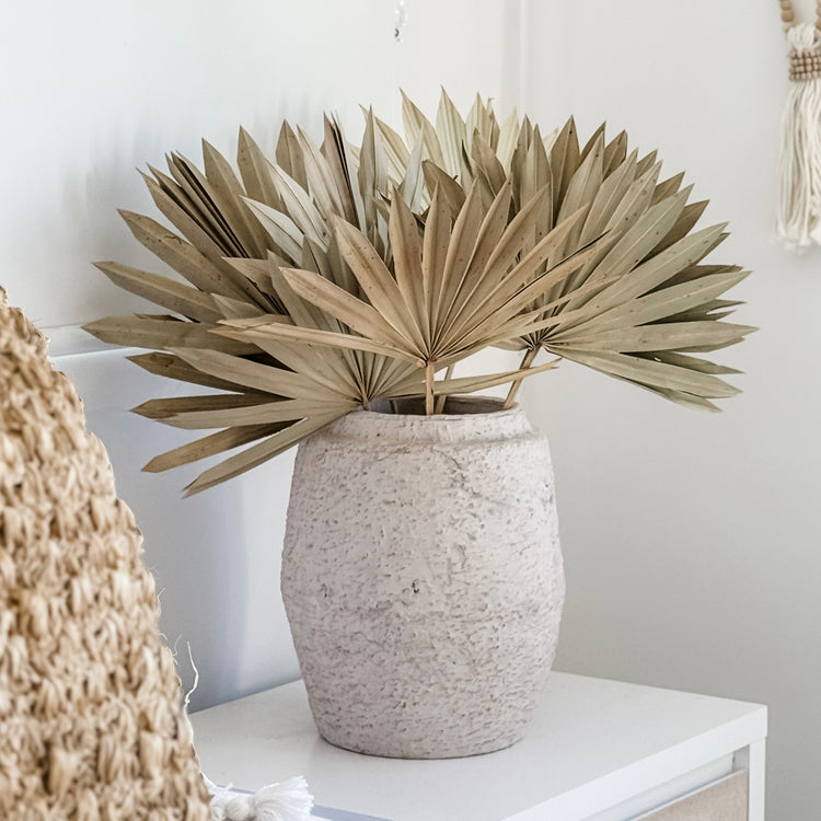 Sun Spear Palm | Dried | Natural | Set of 4
