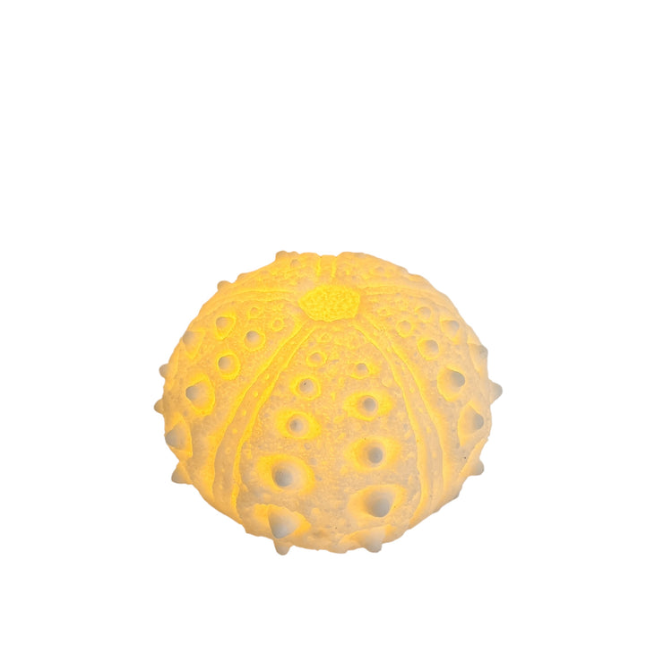 Urchin Mini Outdoor Light B Preorder