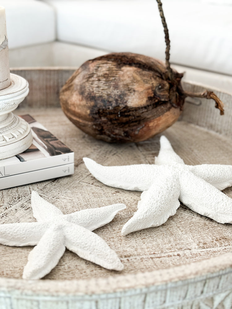 Starfish | Resin | 20cm