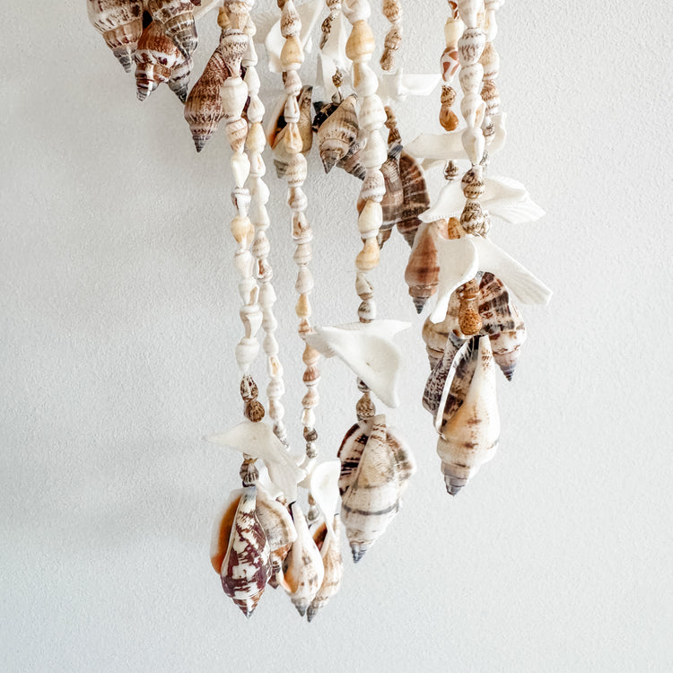 Isla Shell Chandelier