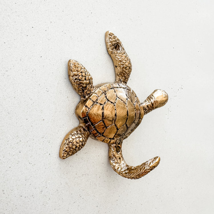 Turtle Wall Hook