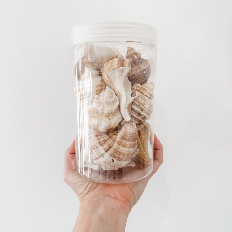 Coastal Shell Jar – 350g Assorted Natural Seashells for Styling & Decor