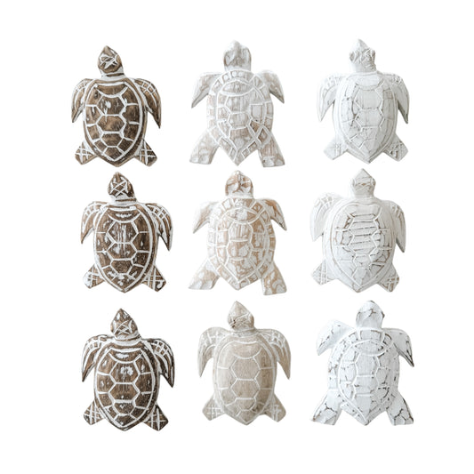 Baby Turtle | 12cm | Assorted Colours