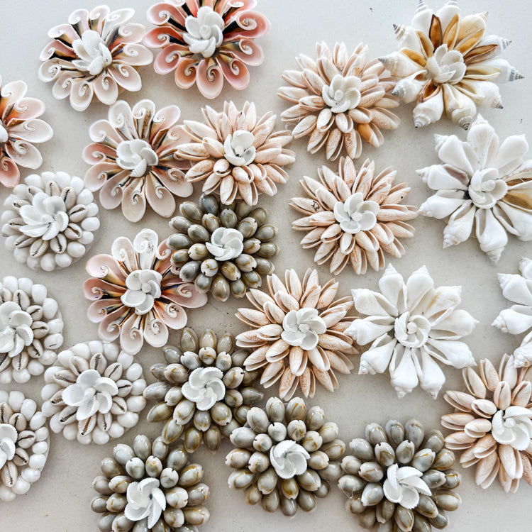 Ivory Cowrie Bloom Shell Magnet