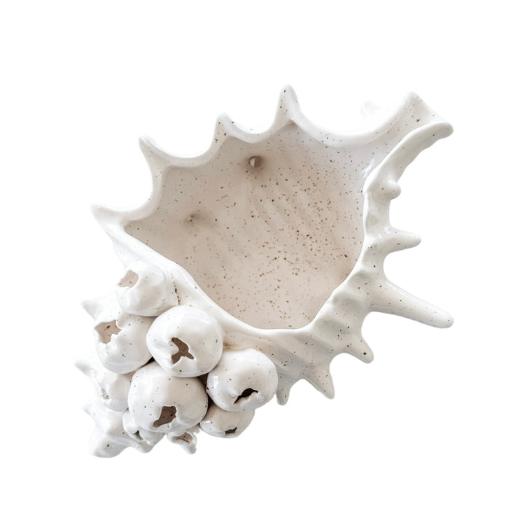 Barwon Ceramic Shell Scultpure | Large Preorder