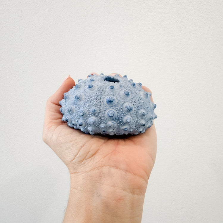 Blue Spiky Urchin Coral Resin