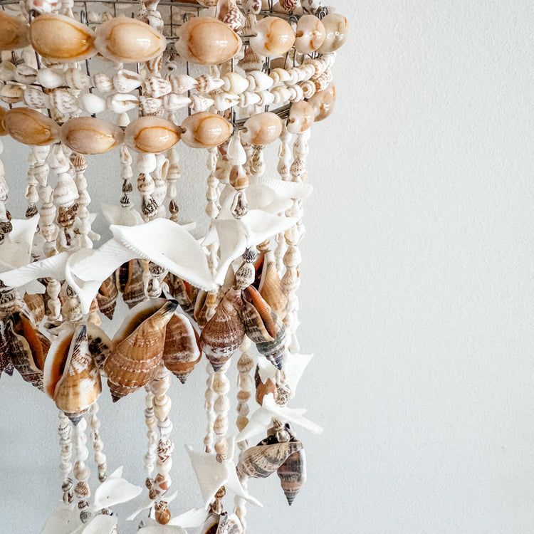 Isla Shell Chandelier