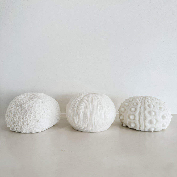 Urchin Mini Outdoor Light A